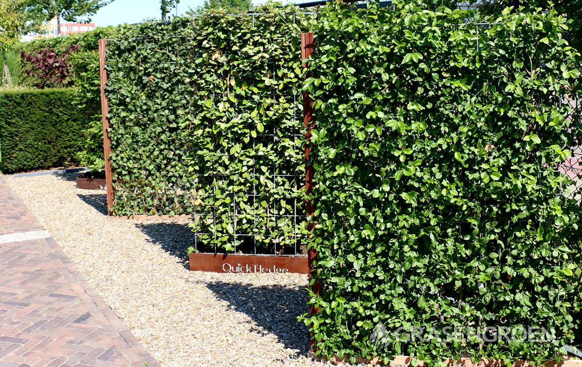 Hagenhome2 • Gras en Groen Winkel