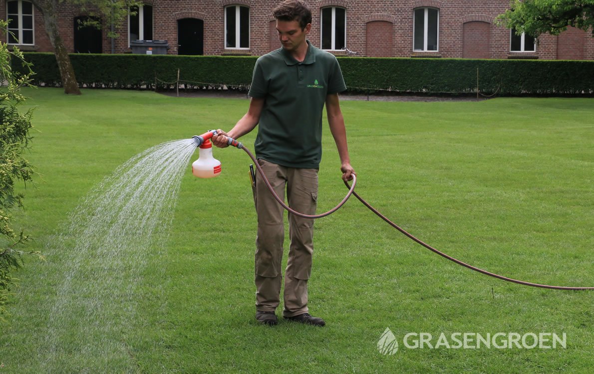 Engerlingen4 • Gras en Groen Winkel