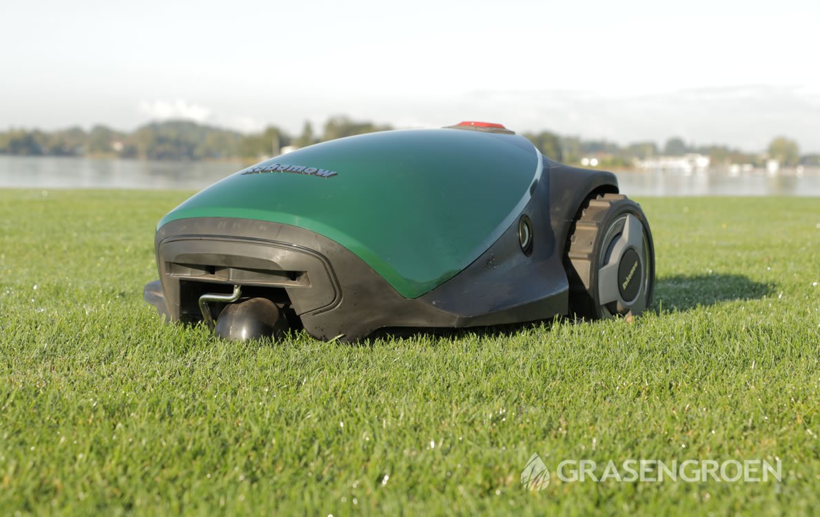 met de klok mee Vliegveld vorm Gras maaien - Wanneer en hoe vaak l Gras & Groen