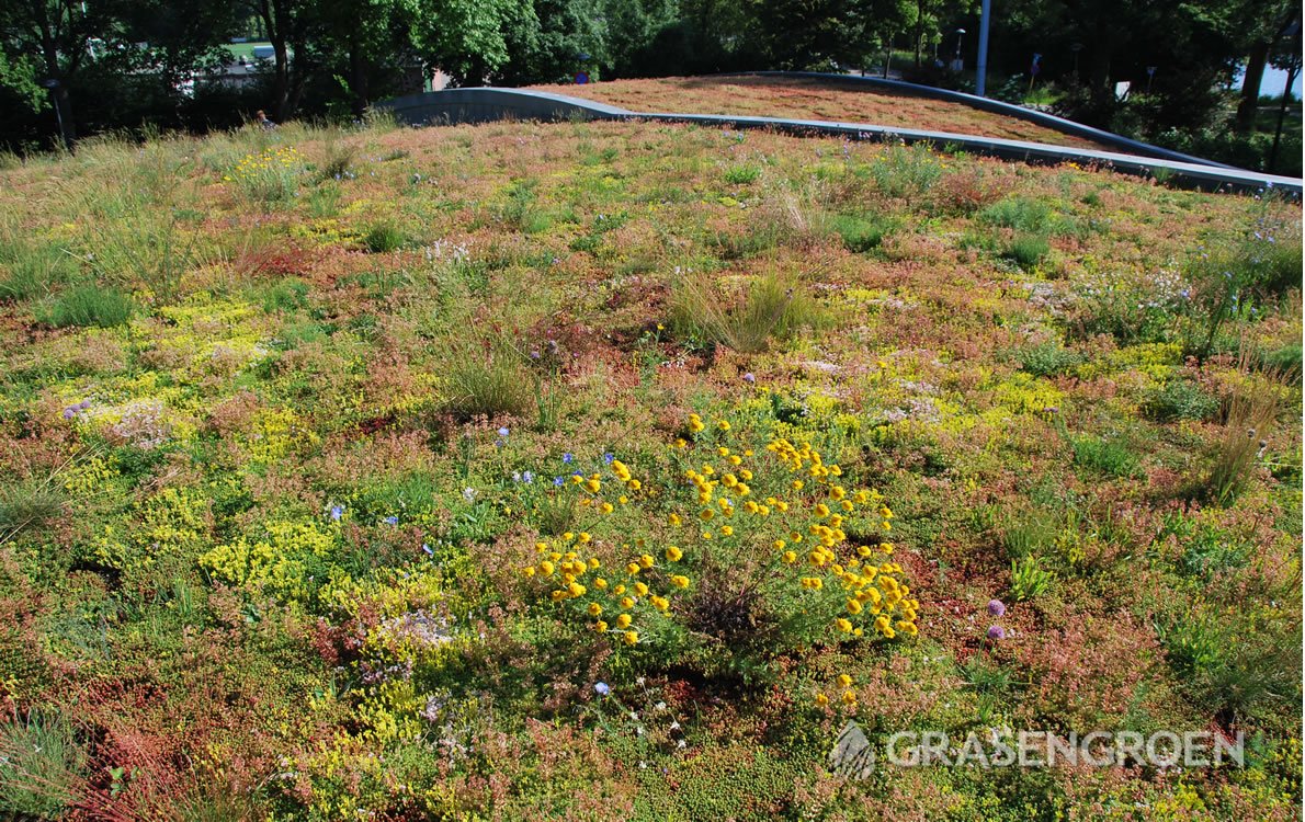 Keuzegroendak2 • Gras en Groen Winkel