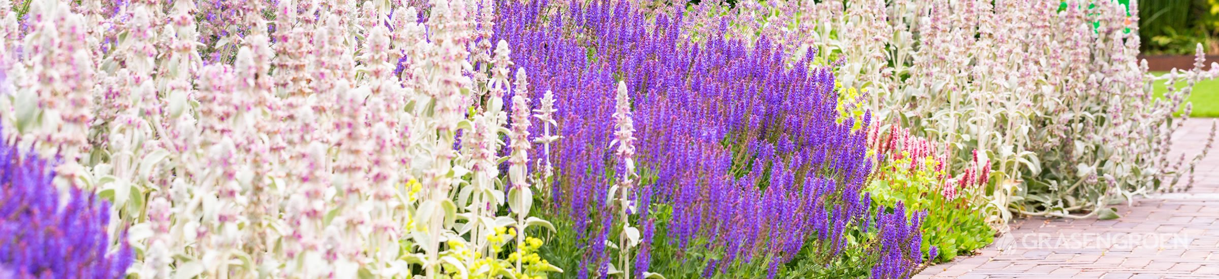 Tuinonderhoud • Gras en Groen Winkel