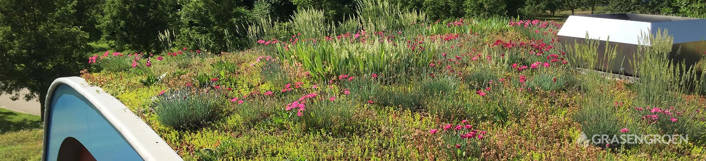 Adviessedumdak • Gras en Groen Winkel