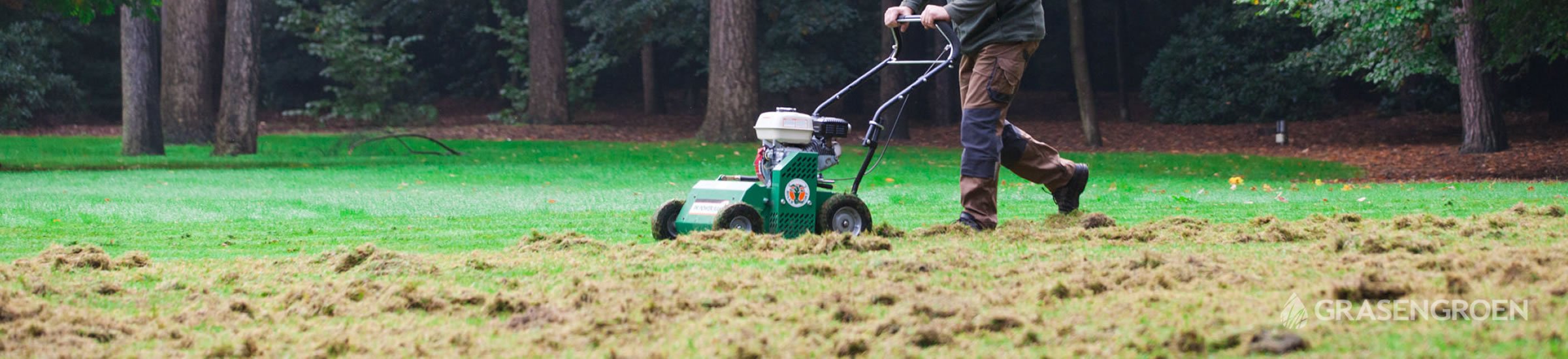 Idealephwaardegazon • Gras en Groen Winkel