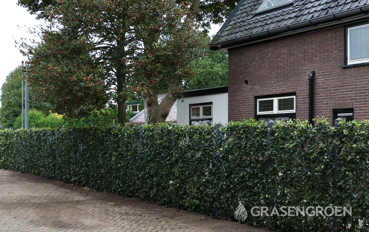 Installatieservicegrasengroen3 • Gras en Groen Winkel