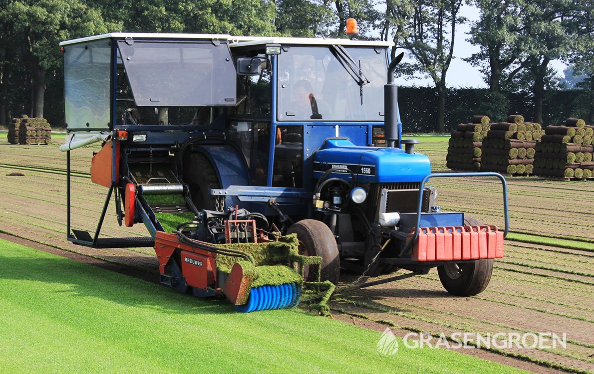 Graszodenprijzen2 • Gras en Groen Winkel