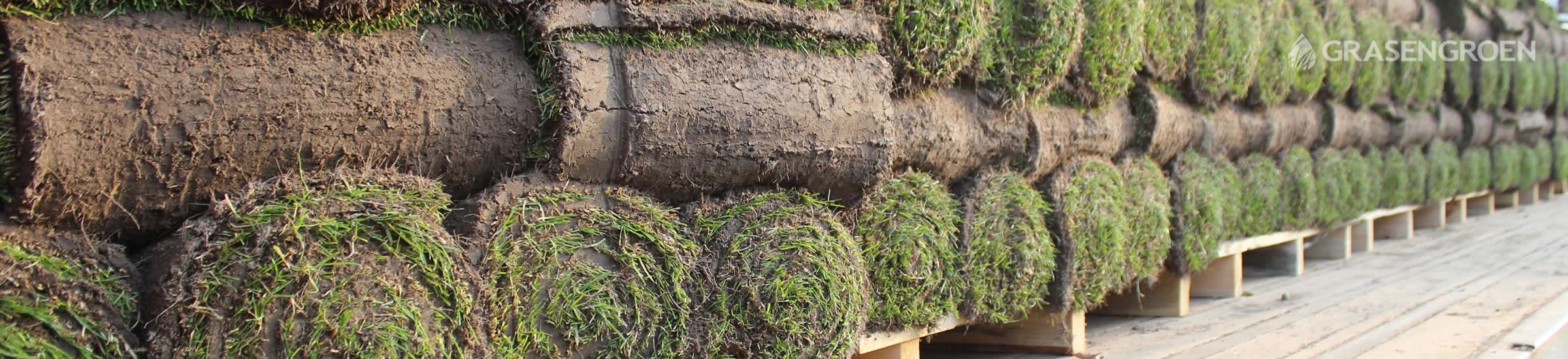 Graszodenkopen • Gras en Groen Winkel