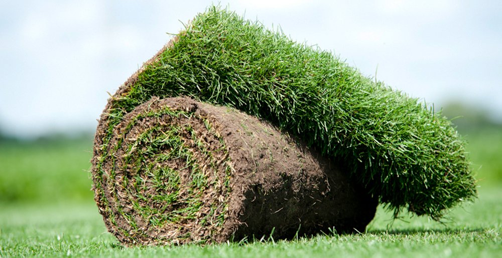 Graszodenprijzen • Gras en Groen Winkel