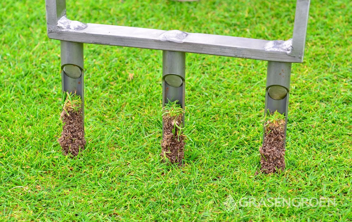 Verzadigen Gezichtsveld piek Gazon verticuteren - Hoe en wanneer l Gras & Groen