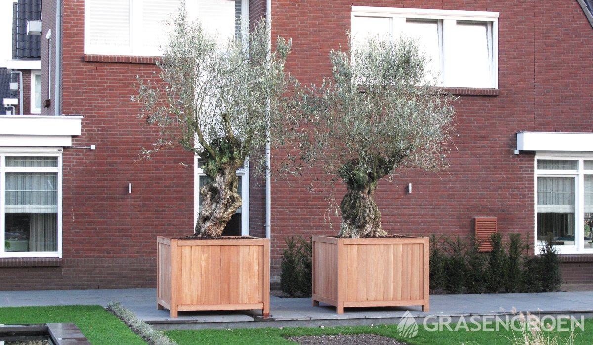 Plantenbakken3 • Gras en Groen Winkel